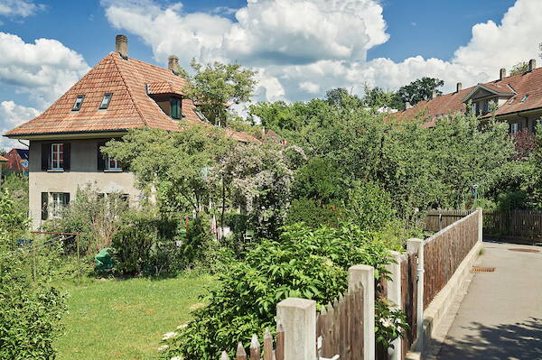 refhtyp2.jpeg refhtyp2.jpeg