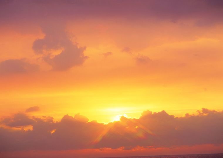 Zoom: nature-152.jpg
