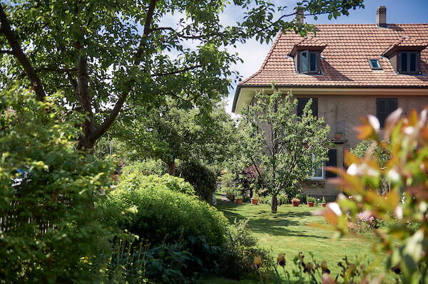 refhtyp3.jpeg refhtyp3.jpeg