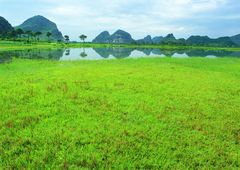 Zoom: nature-164.jpg