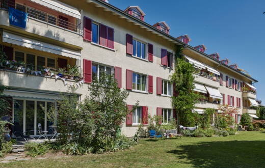 rossfeld_.jpeg rossfeld_.jpeg