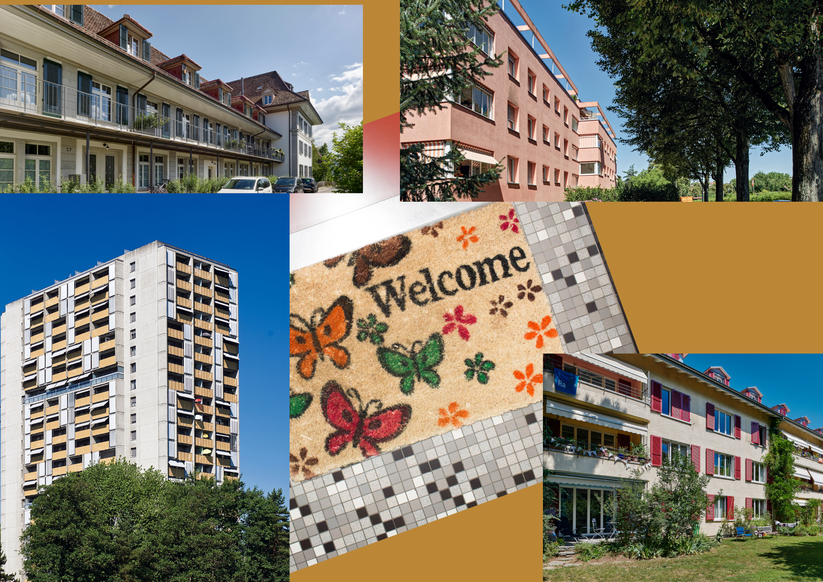 design_ohne_titel-7.png design_ohne_titel-7.png